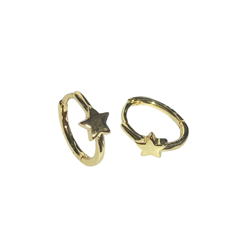 Ladies zodiac earrings-Starley Huggies